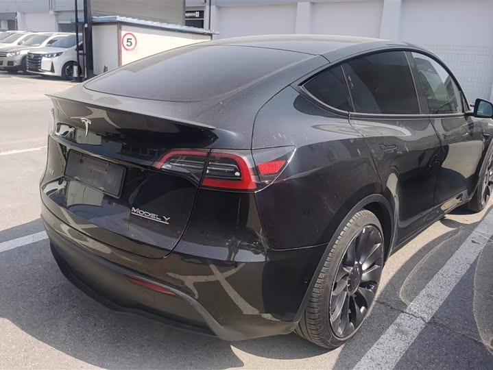 Tesla Model Y 2022 2022款 Performance高性能全轮驱动版