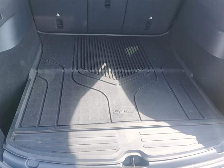 Tesla Model Y 2022 2022款 Performance高性能全轮驱动版