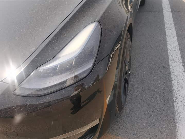 Tesla Model Y 2022 2022款 Performance高性能全轮驱动版