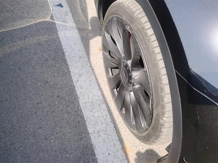 Tesla Model Y 2022 2022款 Performance高性能全轮驱动版