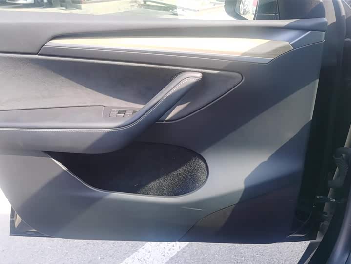 Tesla Model Y 2022 2022款 Performance高性能全轮驱动版
