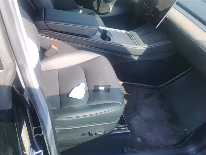 Tesla Model Y 2022 2022款 Performance高性能全轮驱动版