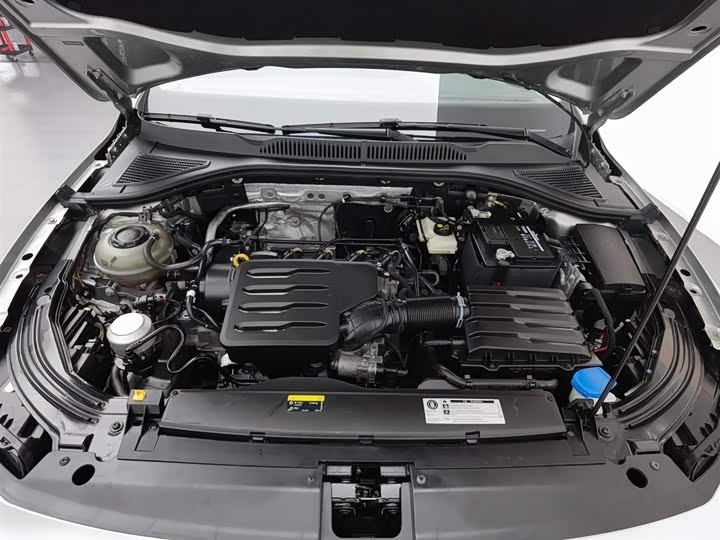 Volkswagen Lavida 2019 2019款 1.5L 自动风尚版 国VI