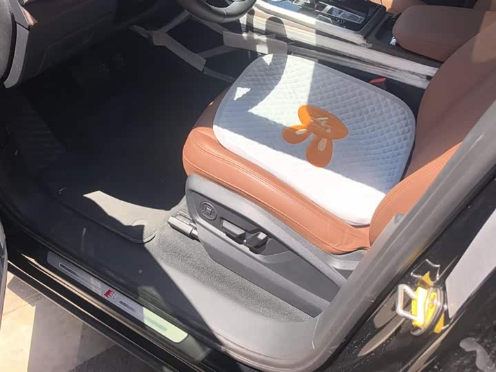 Audi Q7 2025 2025款 45 TFSI quattro S line黑武士型