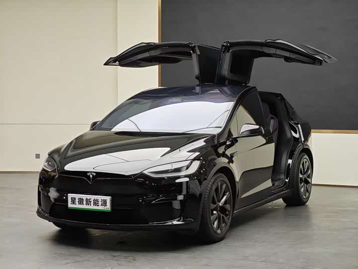 Фото 1 - Tesla Model X