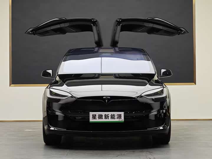 Фото 2 - Tesla Model X