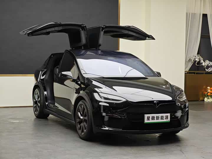 Фото 3 - Tesla Model X