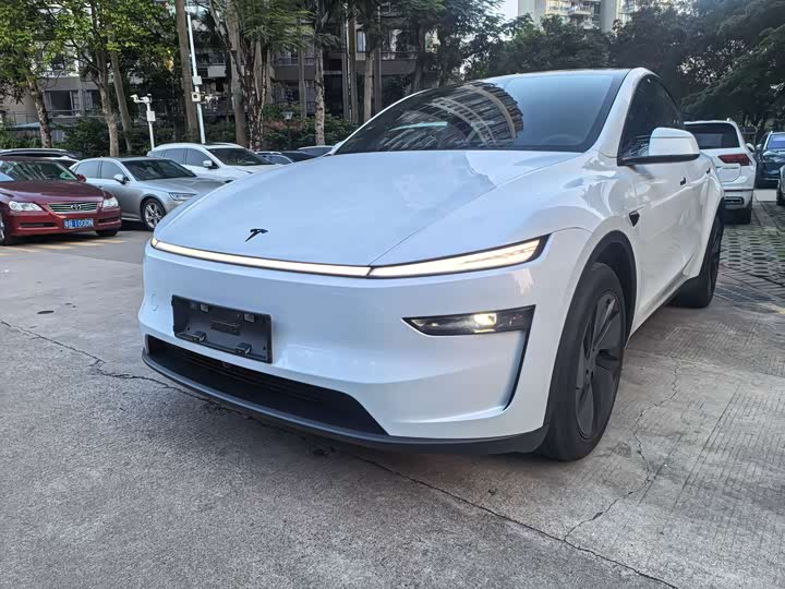 Tesla Model Y 2026 2026款 后轮驱动版