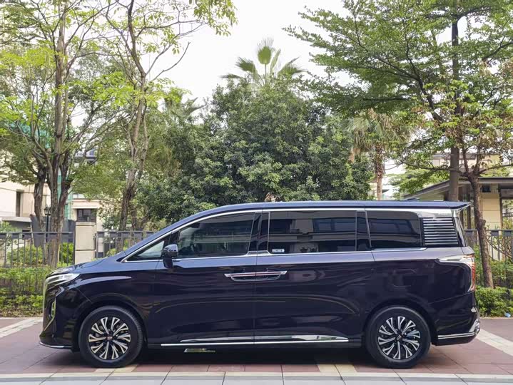 2024 Hongqi HQ9
