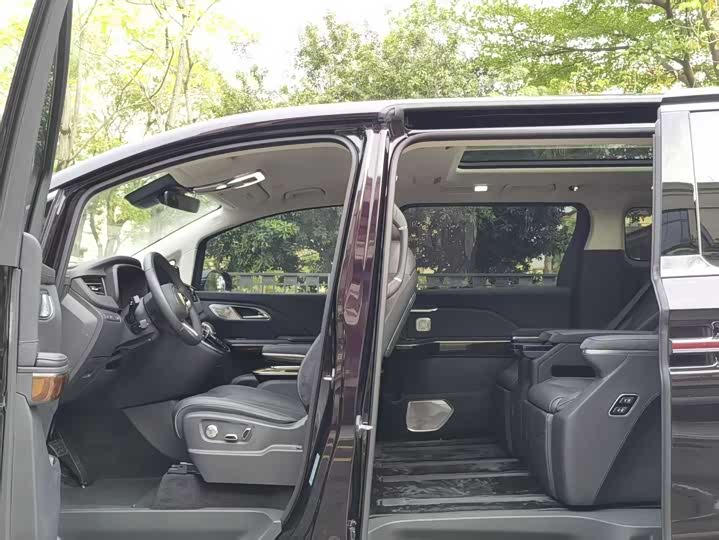 2024 Hongqi HQ9