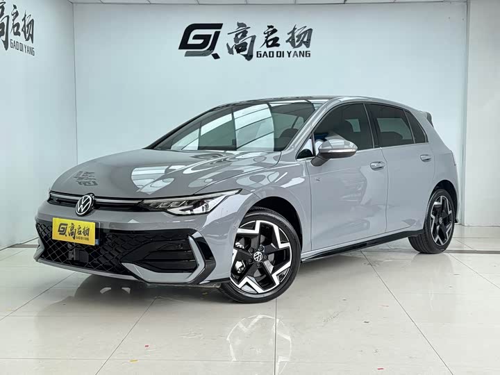 Volkswagen Golf 2025 2025款 300TSI R-Line