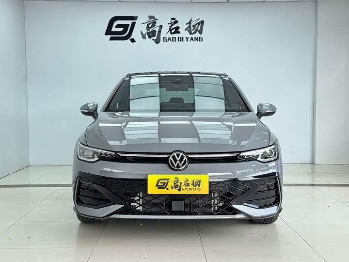Volkswagen Golf 2025 2025款 300TSI R-Line