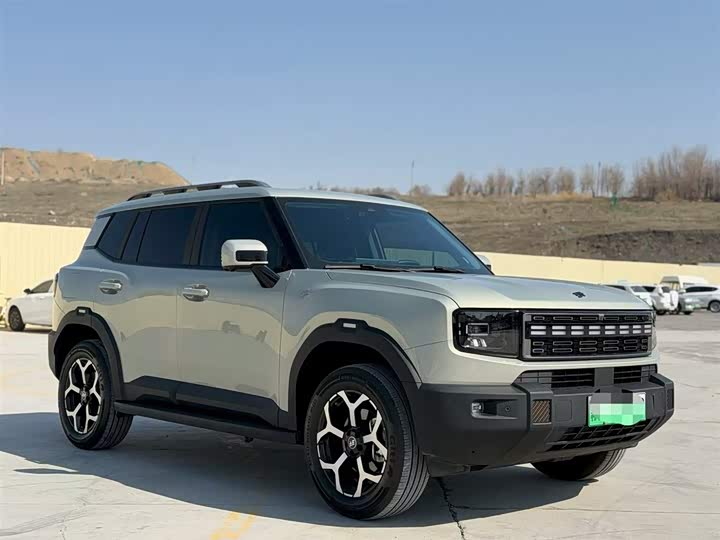 Jetour Shanhai T1 2024 2024款 150km 向海