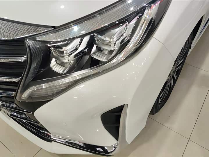 GAC Trumpchi M8 2021 2021款 领秀系列 390T 尊贵版