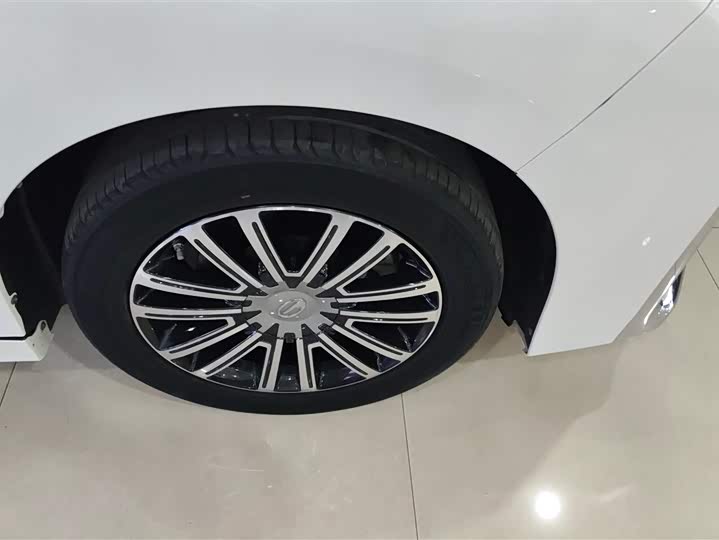 GAC Trumpchi M8 2021 2021款 领秀系列 390T 尊贵版