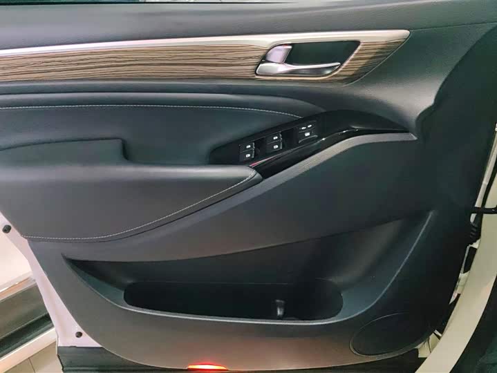 GAC Trumpchi M8 2021 2021款 领秀系列 390T 尊贵版