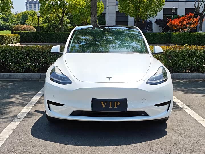 Фото 1 - Tesla Model Y
