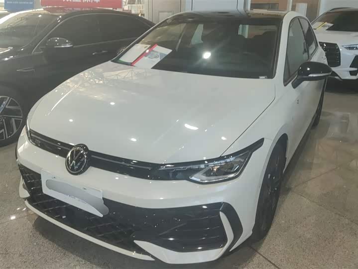 Volkswagen Golf 2025 2025款 300TSI