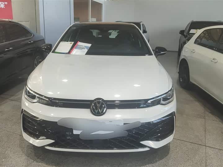Volkswagen Golf 2025 2025款 300TSI