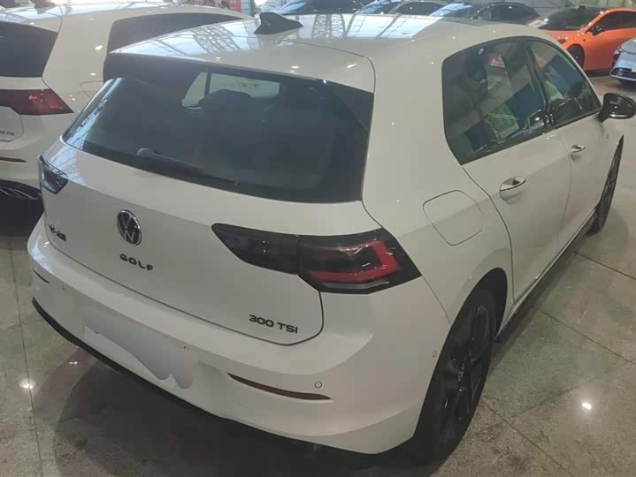 Volkswagen Golf 2025 2025款 300TSI