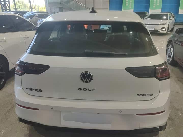 Volkswagen Golf 2025 2025款 300TSI