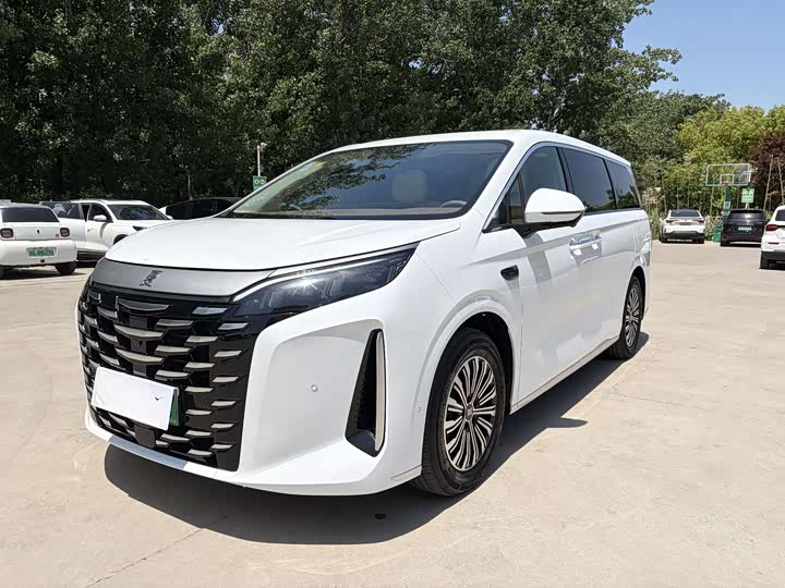 BYD Xia 2025 2025款 DM-i 1.5T 100km 领先型