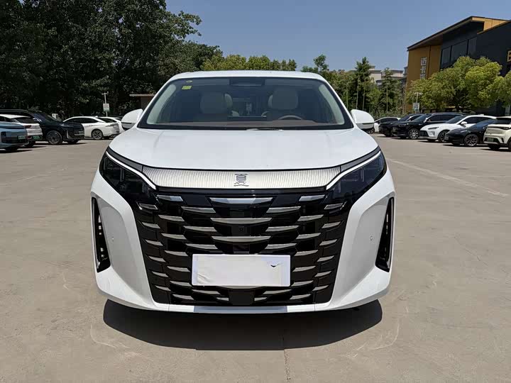 BYD Xia 2025 2025款 DM-i 1.5T 100km 领先型