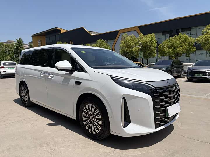 BYD Xia 2025 2025款 DM-i 1.5T 100km 领先型