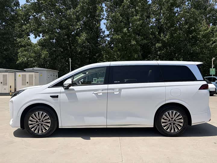 BYD Xia 2025 2025款 DM-i 1.5T 100km 领先型