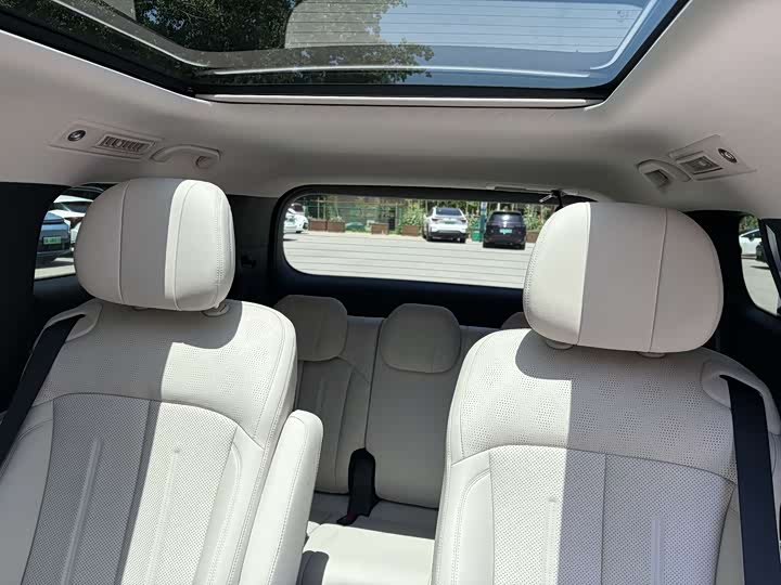 BYD Xia 2025 2025款 DM-i 1.5T 100km 领先型