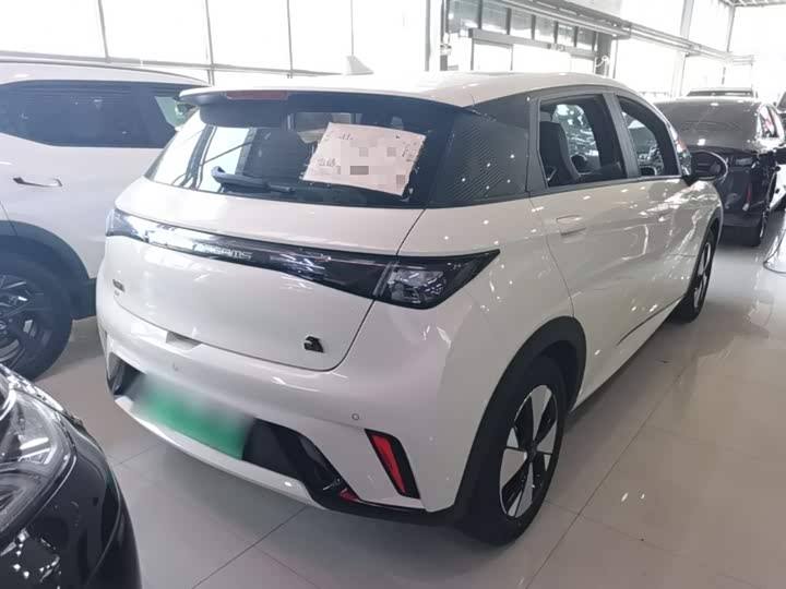 Zdjęcie 7 - BYD Dolphin