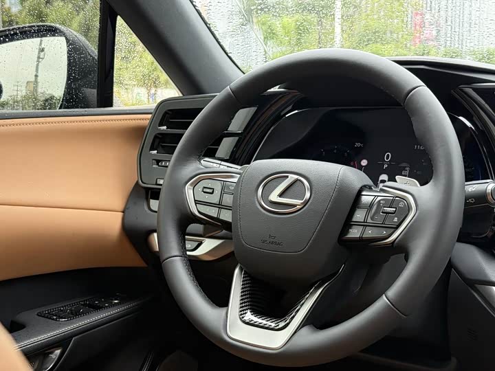 Lexus RX 2025 2025款 350h 两驱悦享版