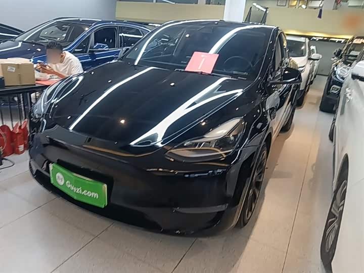 Tesla Model Y 2022 2022款 长续航全轮驱动版