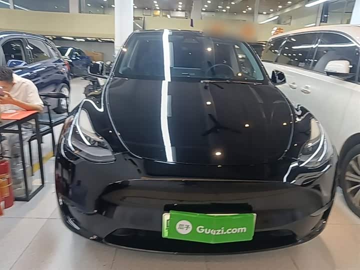Tesla Model Y 2022 2022款 长续航全轮驱动版