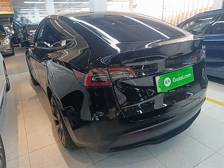 Tesla Model Y 2022 2022款 长续航全轮驱动版