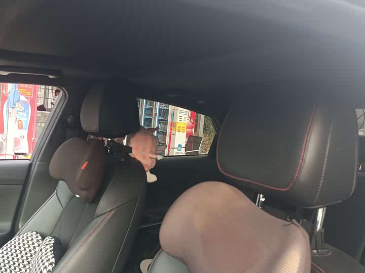 Hyundai Lafesta 2023 2023款 270T N Line DLX豪华版