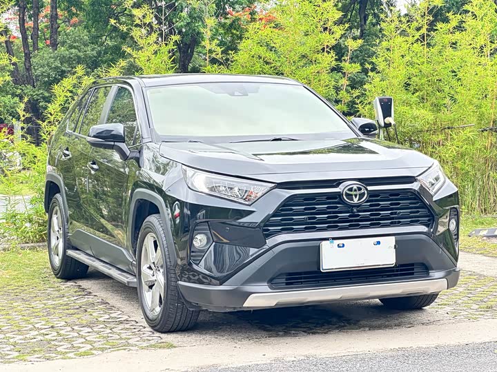 Toyota RAV4 2021 2021款 2.0L CVT两驱风尚版