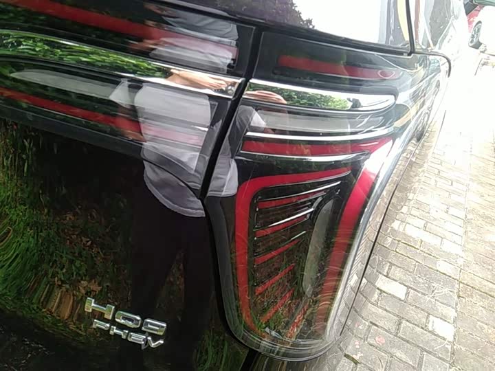 Фото 8 - Hongqi HQ9 Hybrid