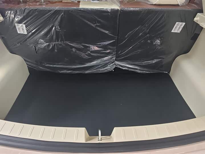 2025 Ora Good Cat (03)