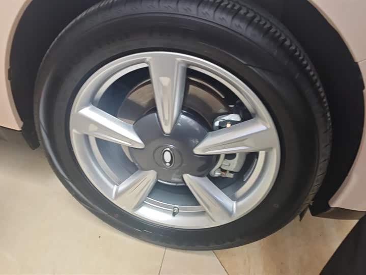 Ora Good Cat (03) 2025 2025款 430km 豪华型