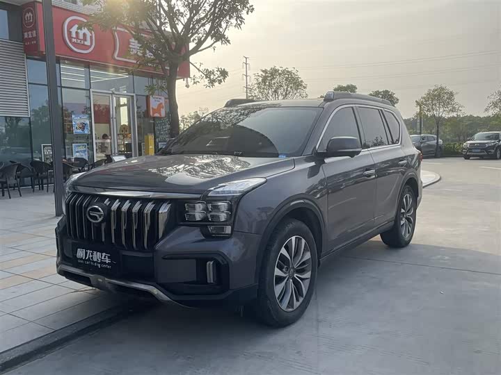 GAC Trumpchi GS8 2020 2020款 GS8S 390T 两驱豪华智联版