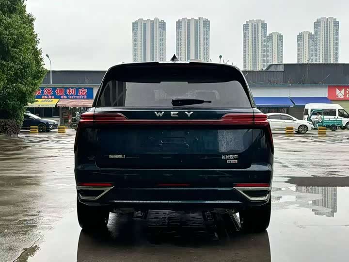 Фото 8 - Wey Lanshan