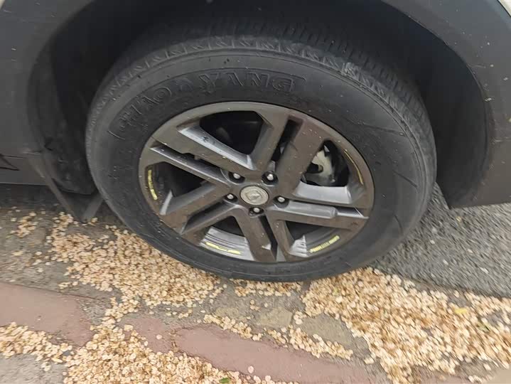 Changan CS55 Plus 2021 2021款 蓝鲸版 1.5T 手动豪华型