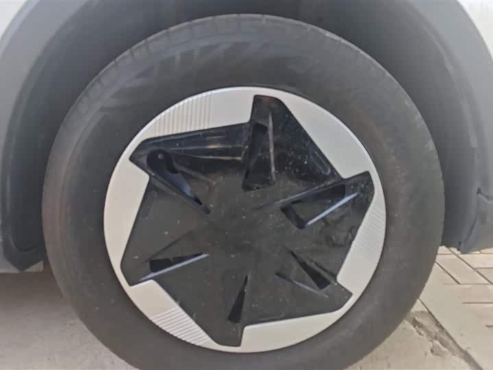 Geely Geometry E Firefly 2024 2024款 301km 流光