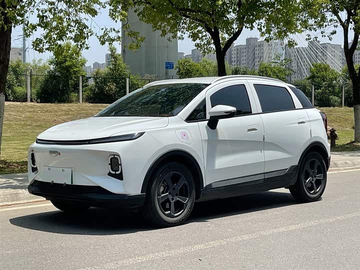 Geely Geometry E Firefly 2024 2024款 401km 萤光
