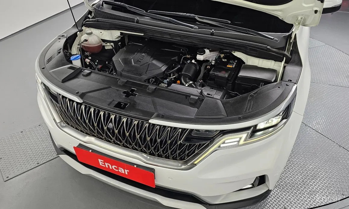 صورة 6 - Kia Carnival