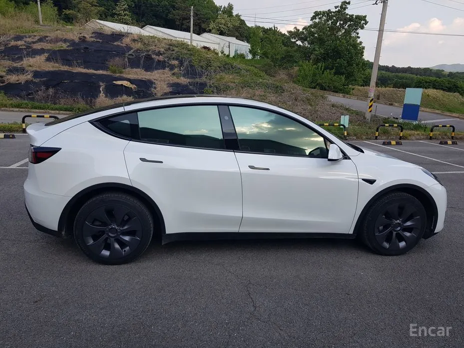 Tesla Model Y 2020 RWD