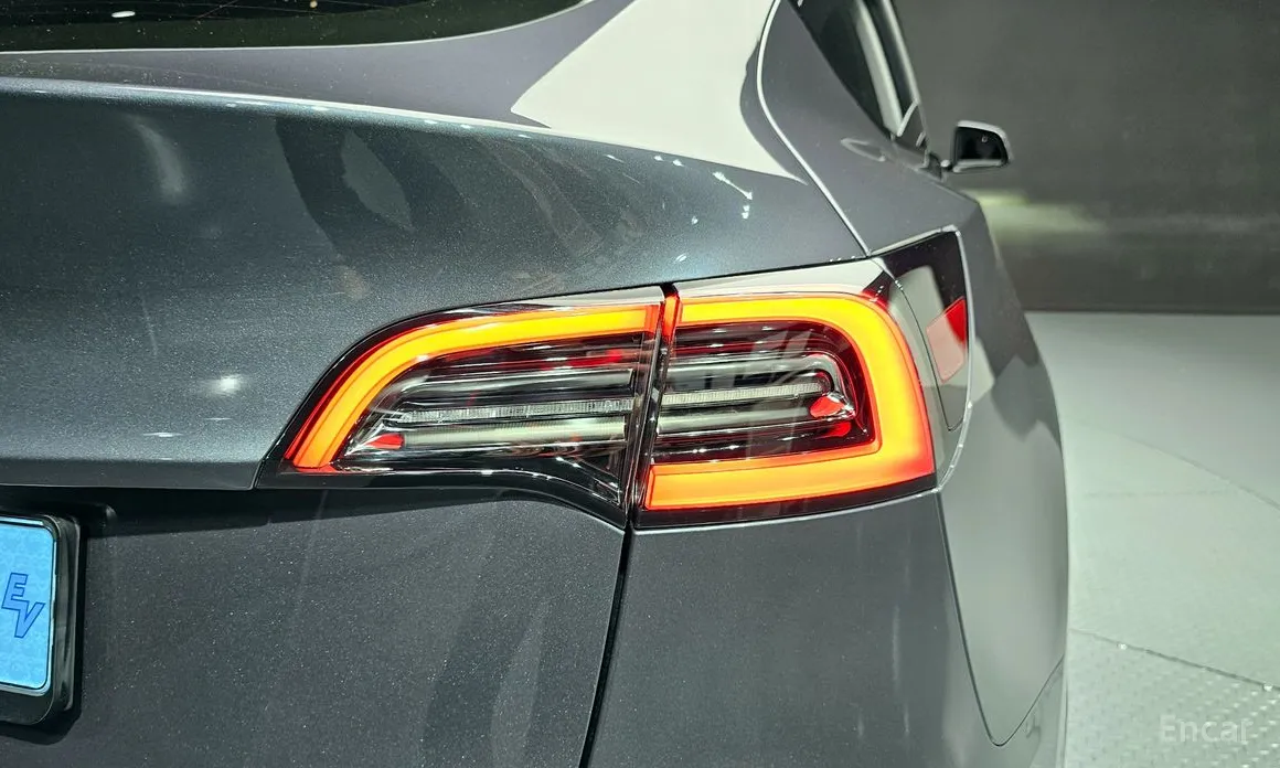 Tesla Model Y 2020 RWD