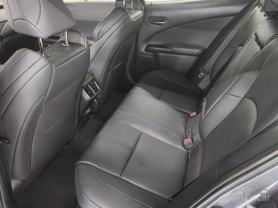 Lexus UX 2024 2.0 F-Sport 2WD