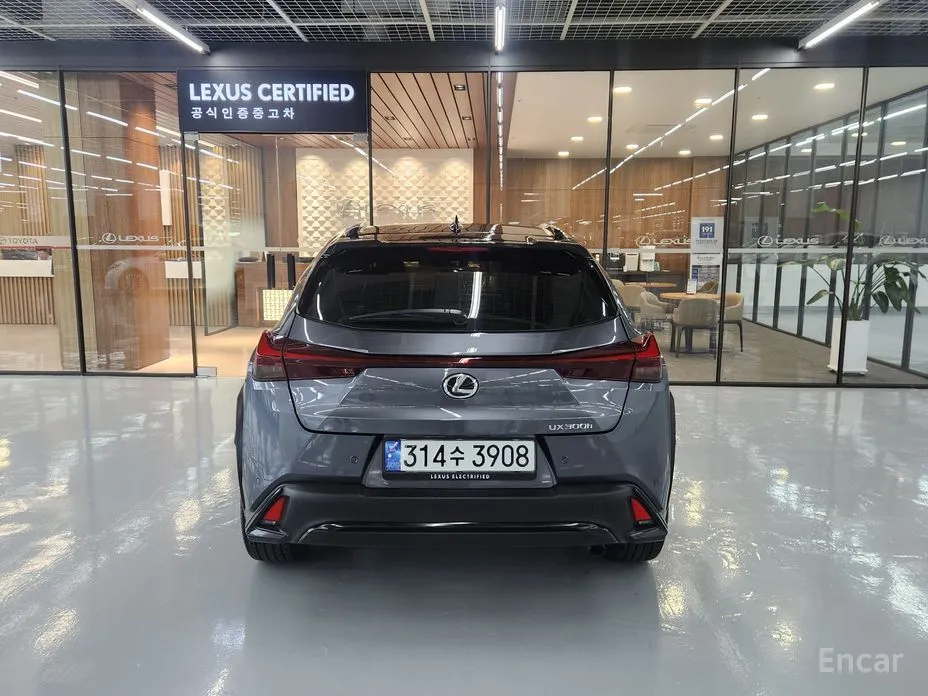 Lexus UX 2024 2.0 F-Sport 2WD